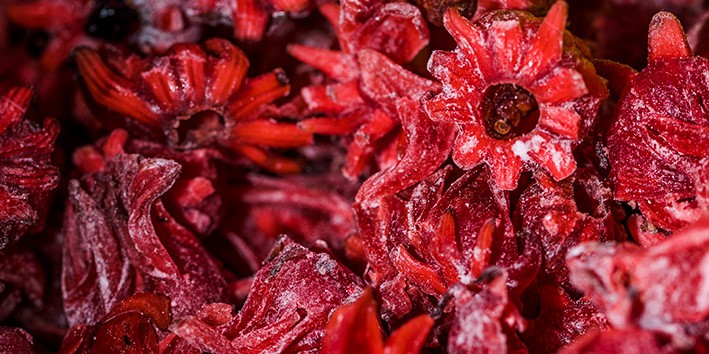 Hibisco onde comprar contraindicacao quem nao pode tomar
